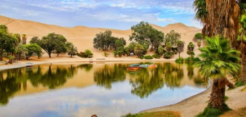 Bahariya Oasis, White and Black Desert Day Tour