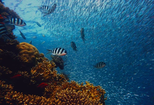 Suez Shore Excursions