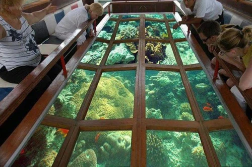 Glass Bottom Boat from Sharm El Sheikh