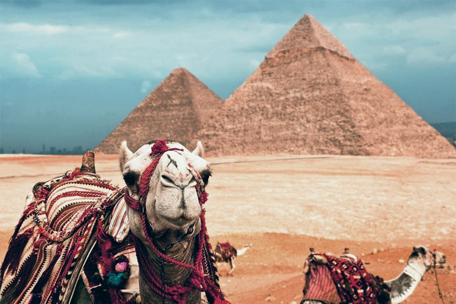 Cairo Day tour from Sharm El Sheikh by Bus