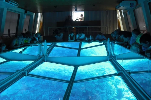 Glass Bottom Boat from Hurghada