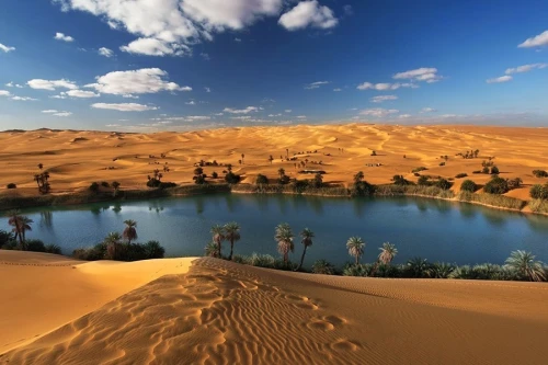 Oasis in the Libyan Desert