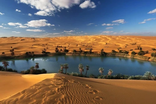 Egypt Safari Tour Package