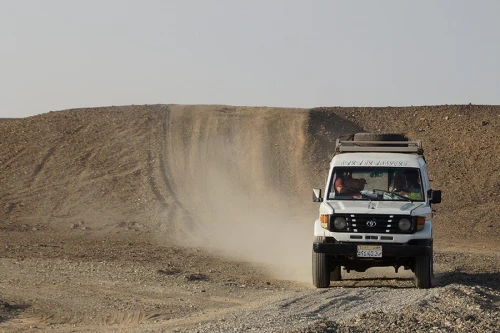 Safari in Baharyia Oasis Tour Package