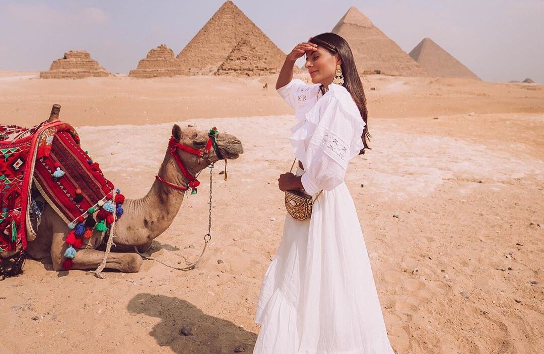 Camel In Giza Pyramids