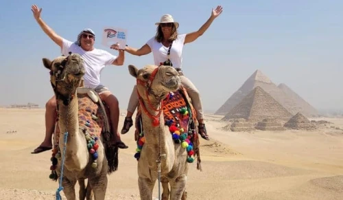 Camel In Giza Pyramids