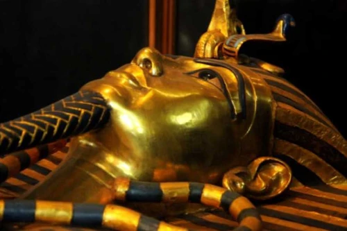 King Tut Family Tour Package