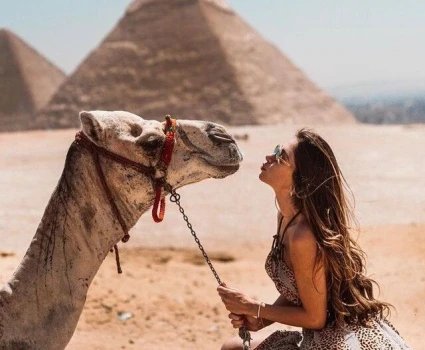 Camel In Giza Pyramids