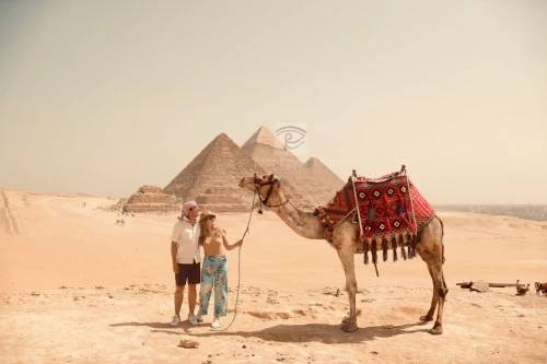 10 Days Honeymoon Nile Adventure in Luxor and Aswan