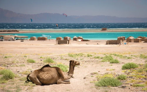 Dahab Blue Lagoon