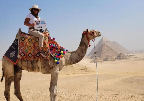 Camel in Giza Pyramids