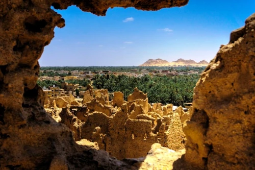 Bahariya Oasis