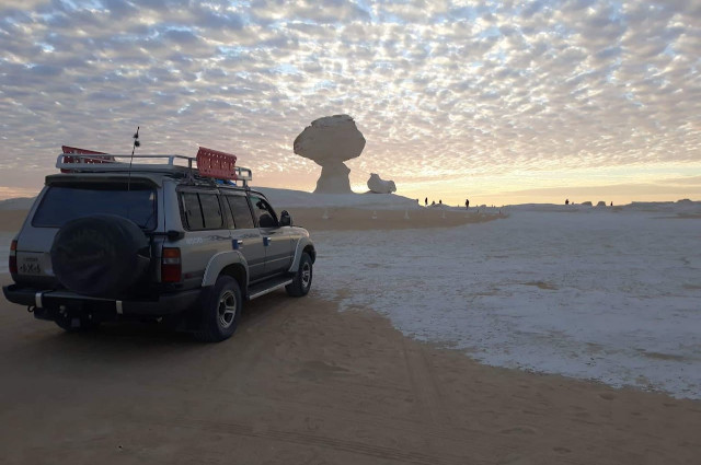 Safari at White desert