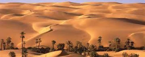 Egypt Safari Tour Package