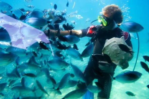 Diving in Red Sea