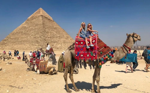 Camel in Giza Pyramids