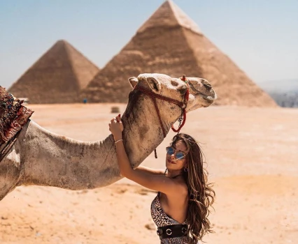 Camel in Giza Pyramids