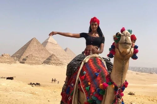 Camel in Giza Pyramids