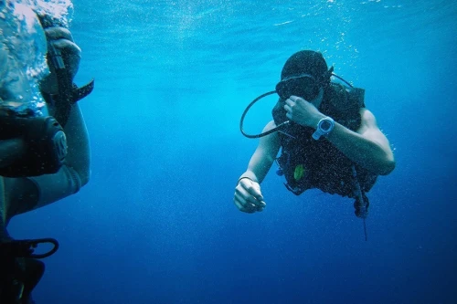 Diving in Red sea