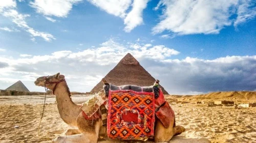 Cairo, Luxor and Aswan Luxury Tour Package