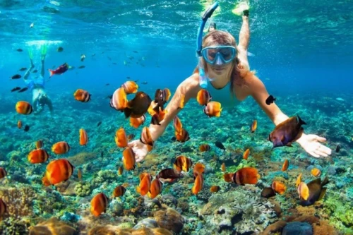 Snorkeling in Ras Mohamed