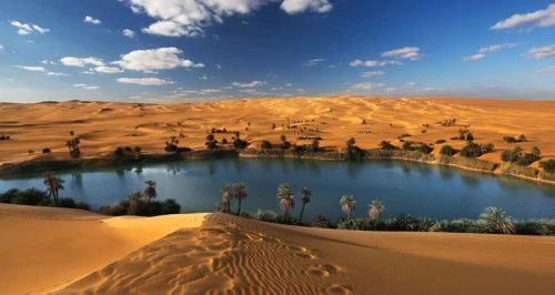 Al Fayoum Oasis