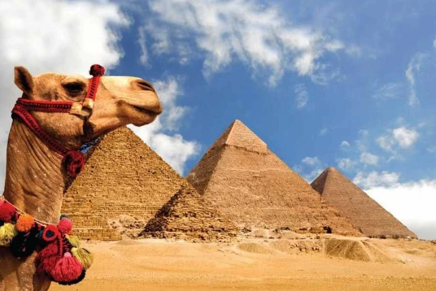 Tours from Cairo