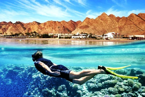 Diving and Snorkeling Tour in Ras Mohamed from Sharm El Sheikh Port