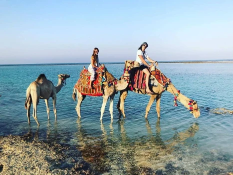 Marsa Alam Day Tours