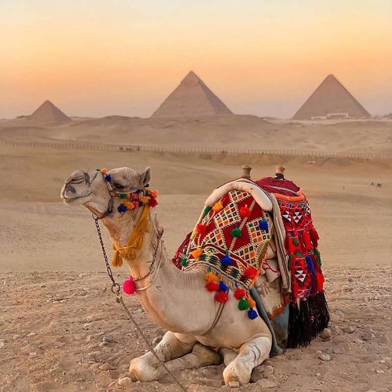 Tours from Cairo