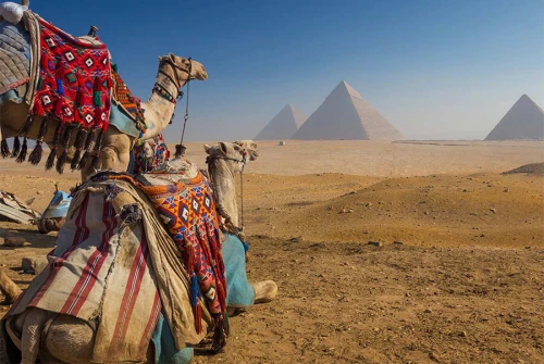 Full Day Tour to Giza Pyramids, Sakkara, Memphis and Dahshour